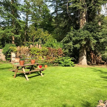 Ferienhaus Tempat Hutan
